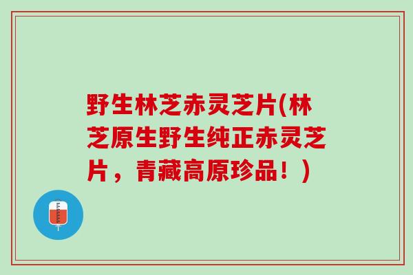 野生林芝赤灵芝片(林芝原生野生纯正赤灵芝片，青藏高原珍品！)