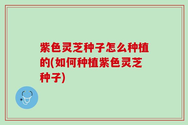 紫色灵芝种子怎么种植的(如何种植紫色灵芝种子) 紫色灵芝种子怎么种植的(如何种植紫色灵芝种子)