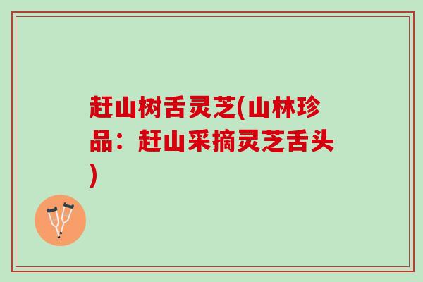 赶山树舌灵芝(山林珍品：赶山采摘灵芝舌头)