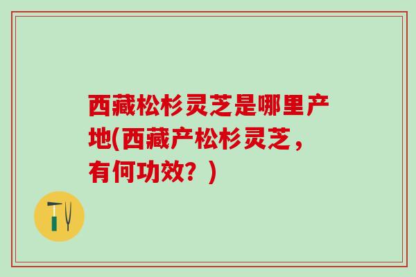 西藏松杉灵芝是哪里产地(西藏产松杉灵芝，有何功效？)