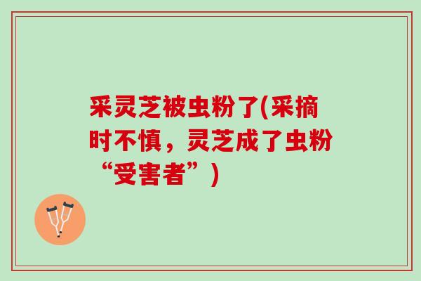 采灵芝被虫粉了(采摘时不慎，灵芝成了虫粉“受害者”)