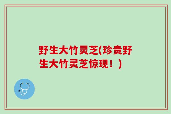 野生大竹灵芝(珍贵野生大竹灵芝惊现！)