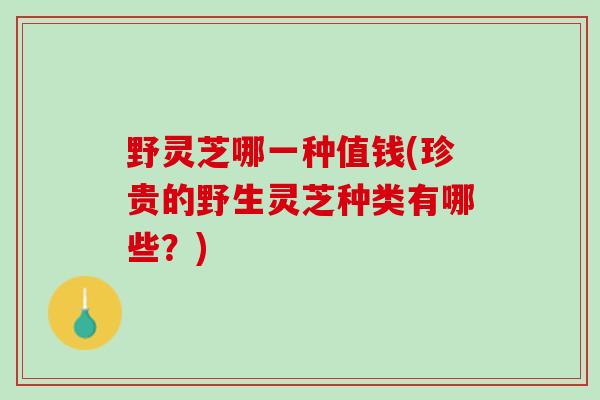 野灵芝哪一种值钱(珍贵的野生灵芝种类有哪些？)