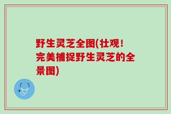 野生灵芝全图(壮观！完美捕捉野生灵芝的全景图)