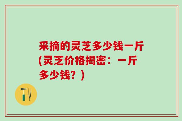 采摘的灵芝多少钱一斤(灵芝价格揭密：一斤多少钱？)