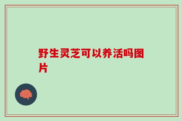 野生灵芝可以养活吗图片