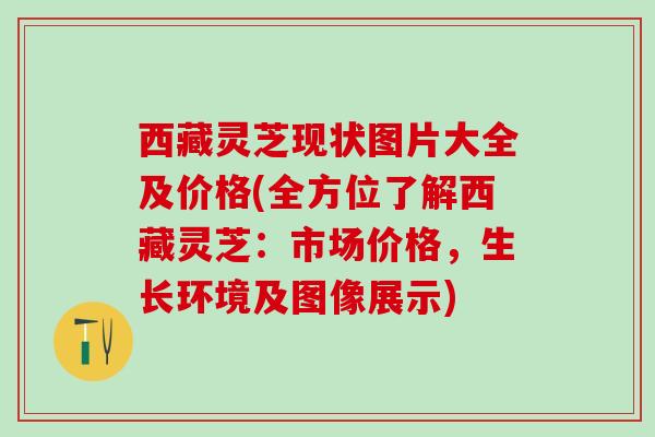 西藏灵芝现状图片大全及价格(全方位了解西藏灵芝：市场价格，生长环境及图像展示)