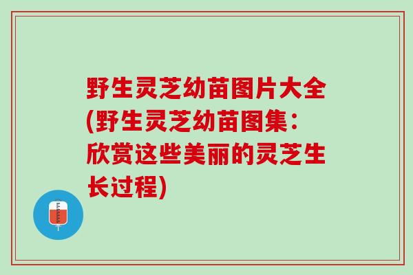 野生灵芝幼苗图片大全(野生灵芝幼苗图集：欣赏这些美丽的灵芝生长过程)