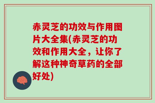 赤灵芝的功效与作用图片大全集(赤灵芝的功效和作用大全，让你了解这种神奇草药的全部好处)