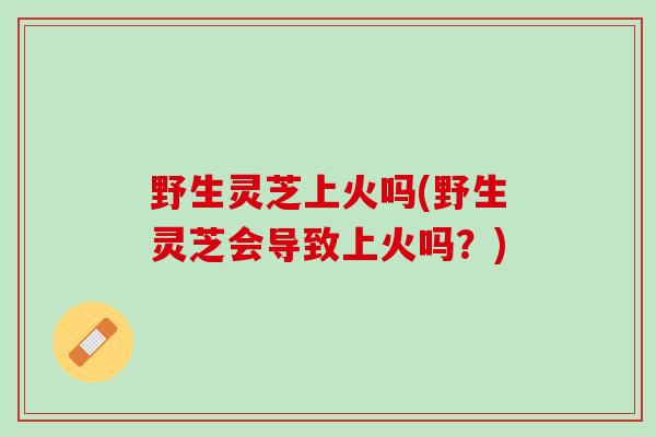 野生灵芝上火吗(野生灵芝会导致上火吗？)