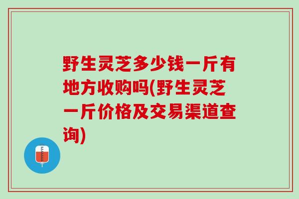 野生灵芝多少钱一斤有地方收购吗(野生灵芝一斤价格及交易渠道查询)