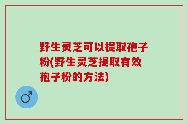 野生灵芝可以提取孢子粉(野生灵芝提取有效孢子粉的方法) 野生灵芝可以提取孢子粉(野生灵芝提取有效孢子粉的方法)