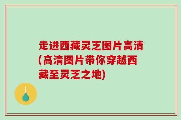 走进西藏灵芝图片高清(高清图片带你穿越西藏至灵芝之地)