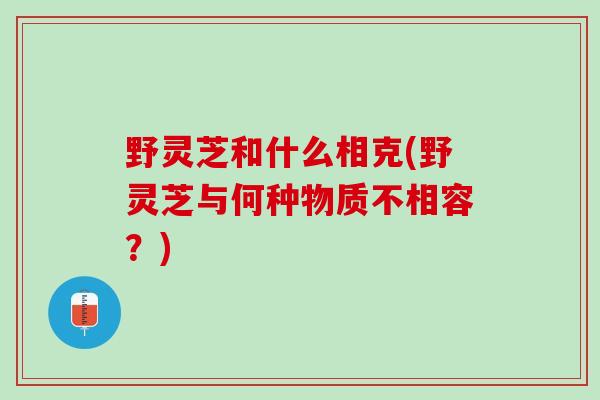 野灵芝和什么相克(野灵芝与何种物质不相容？)