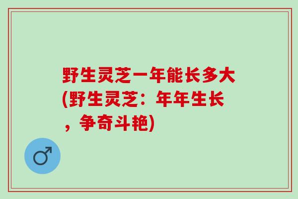 野生灵芝一年能长多大(野生灵芝:年年生长,争奇斗艳) 野生灵芝一年能长多大(野生灵芝:年年生长,争奇斗艳)