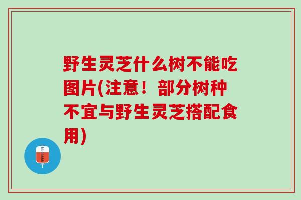 野生灵芝什么树不能吃图片(注意！部分树种不宜与野生灵芝搭配食用)