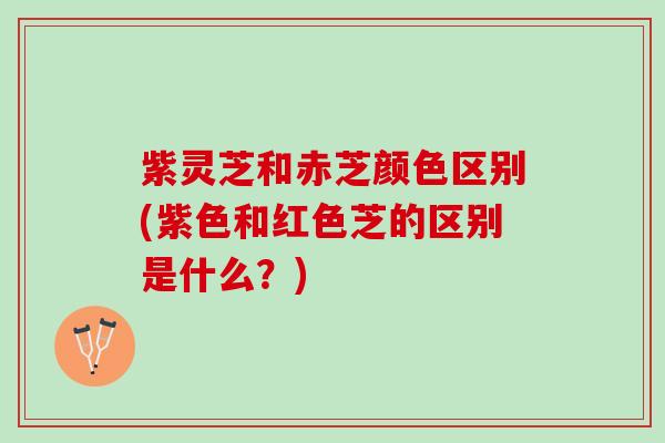 紫灵芝和赤芝颜色区别(紫色和红色芝的区别是什么？)