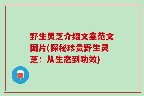 野生灵芝介绍文案范文图片(探秘珍贵野生灵芝：从生态到功效)