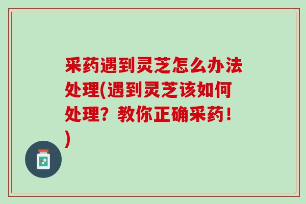 采药遇到灵芝怎么办法处理(遇到灵芝该如何处理?教你正确采药!) 采药遇到灵芝怎么办法处理(遇到灵芝该如何处理?教你正确采药!)
