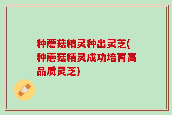 种蘑菇精灵种出灵芝(种蘑菇精灵成功培育高品质灵芝)