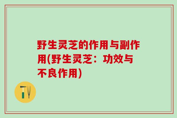 野生灵芝的作用与副作用(野生灵芝：功效与不良作用)