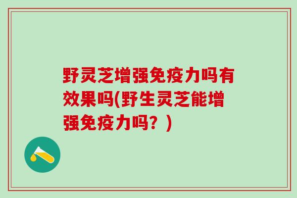 野灵芝增强免疫力吗有效果吗(野生灵芝能增强免疫力吗？)
