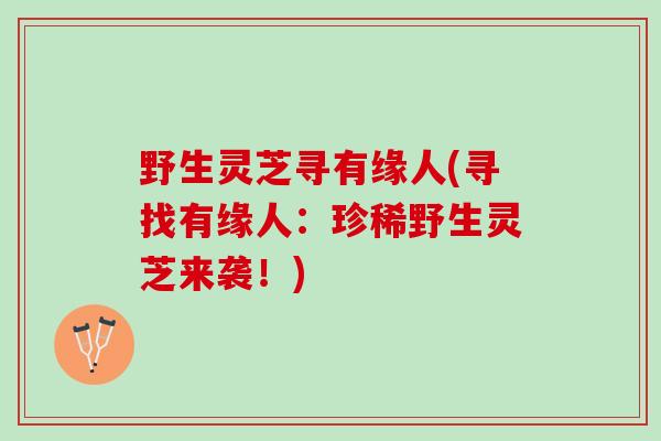 野生灵芝寻有缘人(寻找有缘人：珍稀野生灵芝来袭！)