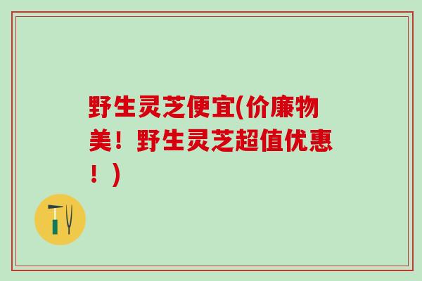 野生灵芝便宜(价廉物美！野生灵芝超值优惠！)