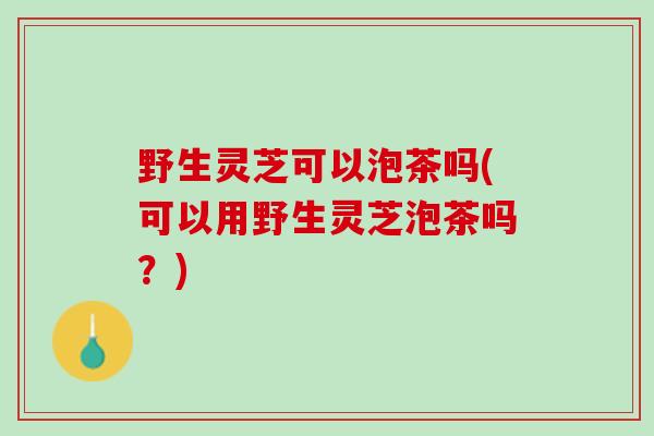 野生灵芝可以泡茶吗(可以用野生灵芝泡茶吗?) 野生灵芝可以泡茶吗(可以用野生灵芝泡茶吗?)