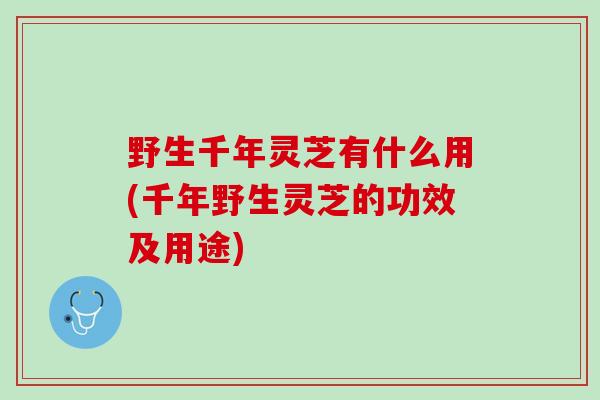 野生千年灵芝有什么用(千年野生灵芝的功效及用途)