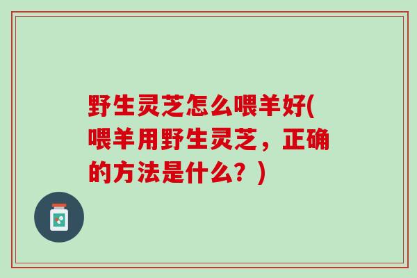 野生灵芝怎么喂羊好(喂羊用野生灵芝，正确的方法是什么？)