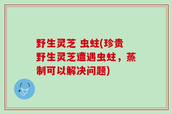 野生灵芝 虫蛀(珍贵野生灵芝遭遇虫蛀，蒸制可以解决问题)