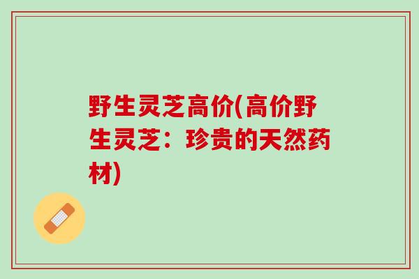 野生灵芝高价(高价野生灵芝：珍贵的天然药材)