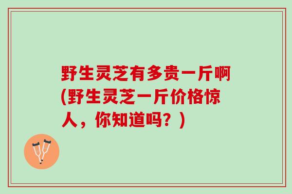 野生灵芝有多贵一斤啊(野生灵芝一斤价格惊人,你知道吗?) 野生灵芝有多贵一斤啊(野生灵芝一斤价格惊人,你知道吗?)
