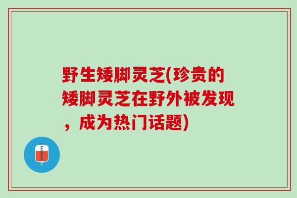 野生矮脚灵芝(珍贵的矮脚灵芝在野外被发现，成为热门话题)