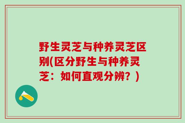 野生灵芝与种养灵芝区别(区分野生与种养灵芝：如何直观分辨？)