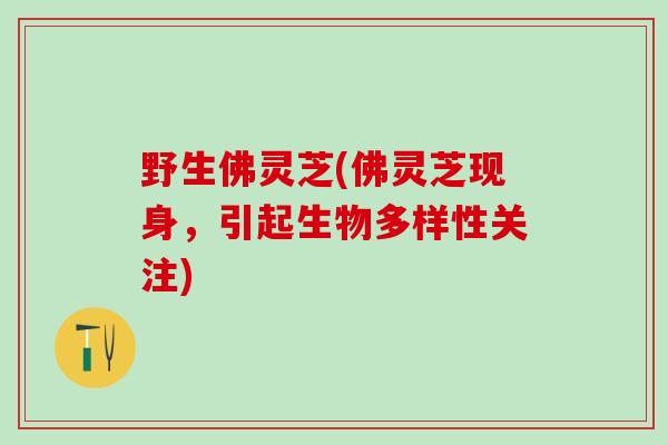 野生佛灵芝(佛灵芝现身，引起生物多样性关注)