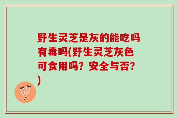 野生灵芝是灰的能吃吗有毒吗(野生灵芝灰色可食用吗？安全与否？)