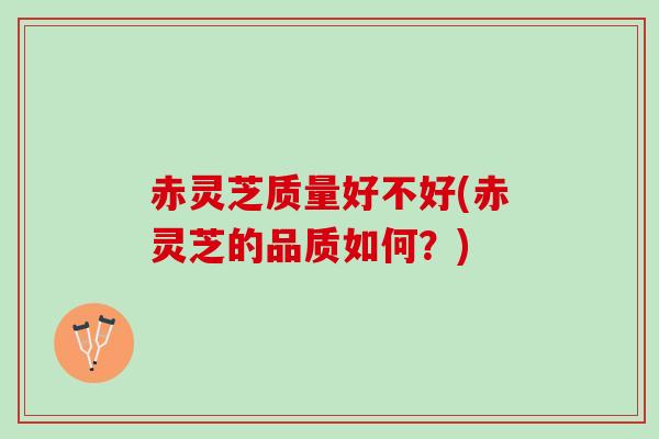 赤灵芝质量好不好(赤灵芝的品质如何？)