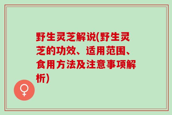 野生灵芝解说(野生灵芝的功效、适用范围、食用方法及注意事项解析) 野生灵芝解说(野生灵芝的功效、适用范围、食用方法及注意事项解析)