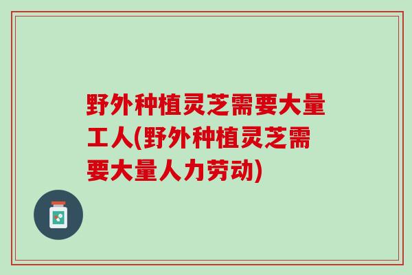 野外种植灵芝需要大量工人(野外种植灵芝需要大量人力劳动)