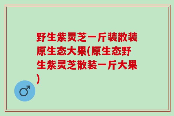 野生紫灵芝一斤装散装原生态大果(原生态野生紫灵芝散装一斤大果)