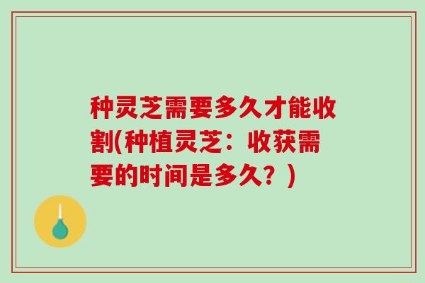 种灵芝需要多久才能收割(种植灵芝：收获需要的时间是多久？)