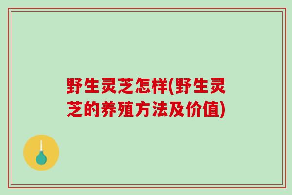 野生灵芝怎样(野生灵芝的养殖方法及价值)