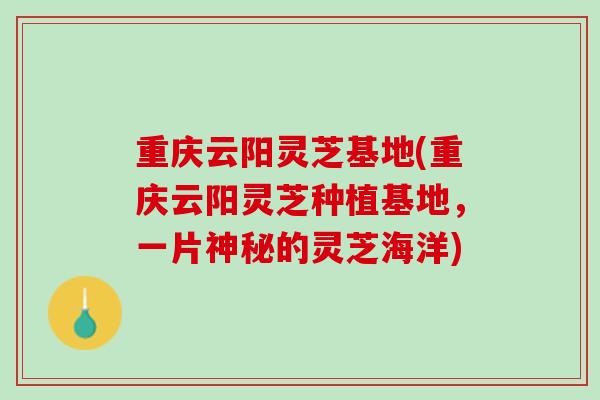 重庆云阳灵芝基地(重庆云阳灵芝种植基地,一片神秘的灵芝海洋) 重庆云阳灵芝基地(重庆云阳灵芝种植基地,一片神秘的灵芝海洋)