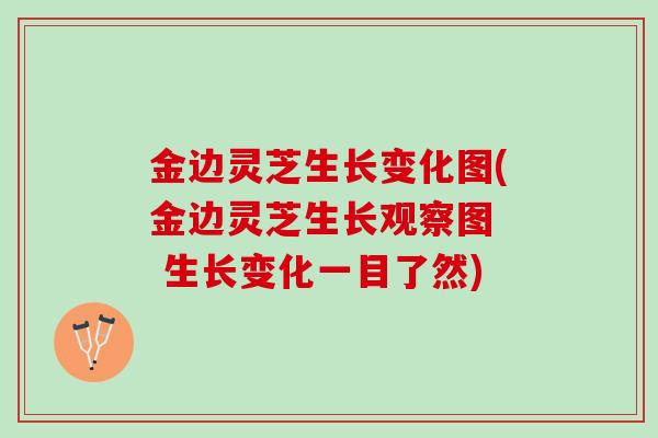 金边灵芝生长变化图(金边灵芝生长观察图  生长变化一目了然)