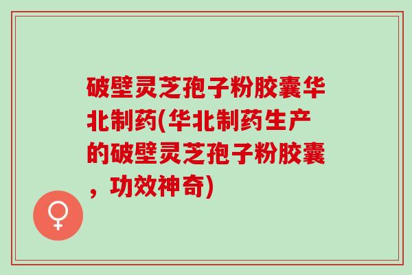 破壁灵芝孢子粉胶囊华北制药(华北制药生产的破壁灵芝孢子粉胶囊，功效神奇)