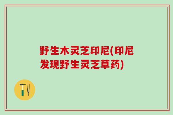 野生木灵芝印尼(印尼发现野生灵芝草药)