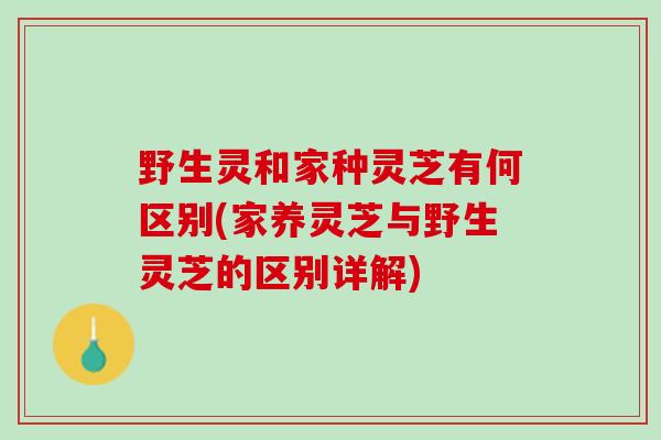 野生灵和家种灵芝有何区别(家养灵芝与野生灵芝的区别详解) 野生灵和家种灵芝有何区别(家养灵芝与野生灵芝的区别详解)