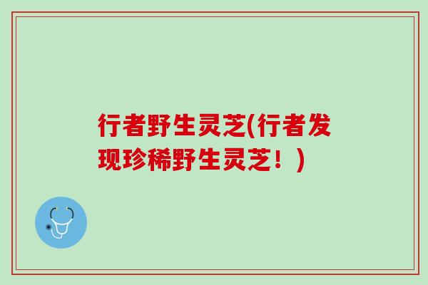 行者野生灵芝(行者发现珍稀野生灵芝！)